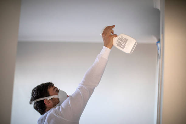 Best White Mold Remediation in Dundas, MN